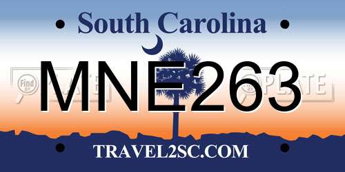 MNE263 South Carolina License Plate