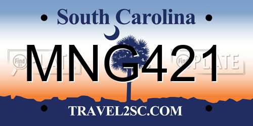MNG421 South Carolina License Plate