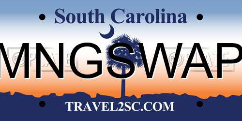 MNGSWAP South Carolina License Plate