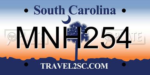 MNH254 South Carolina License Plate