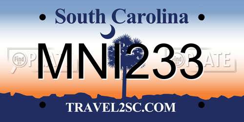 MNI233 South Carolina License Plate