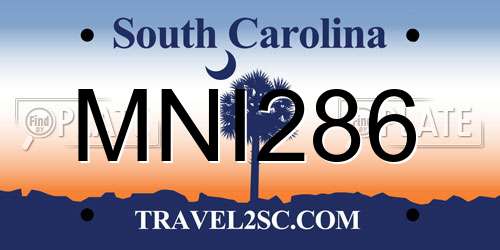MNI286 South Carolina License Plate