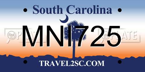 MNI725 South Carolina License Plate