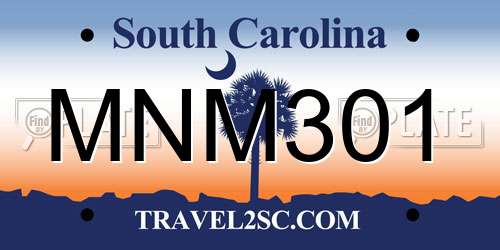 MNM301 South Carolina License Plate