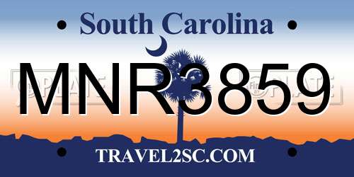 MNR3859 South Carolina License Plate