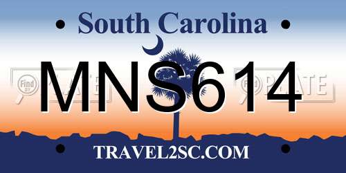 MNS614 South Carolina License Plate