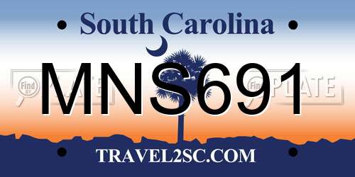 MNS691 South Carolina License Plate