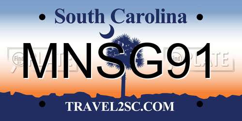 MNSG91 South Carolina License Plate