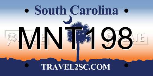 MNT198 South Carolina License Plate