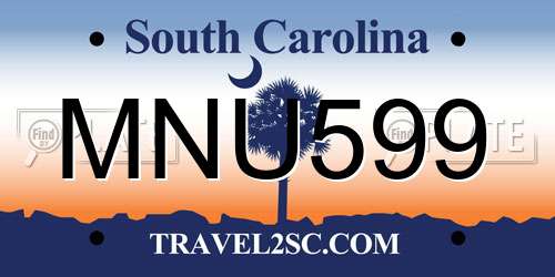 MNU599 South Carolina License Plate