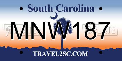 MNW187 South Carolina License Plate