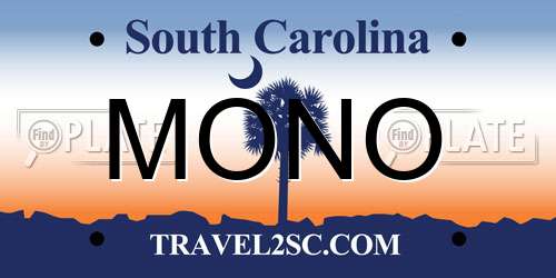 MONO South Carolina License Plate