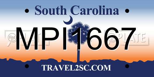 MPI1667 South Carolina License Plate