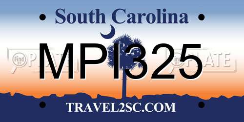 MPI325 South Carolina License Plate