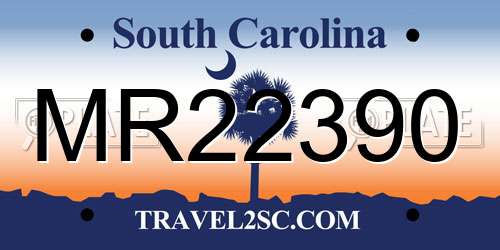 MR22390 South Carolina License Plate