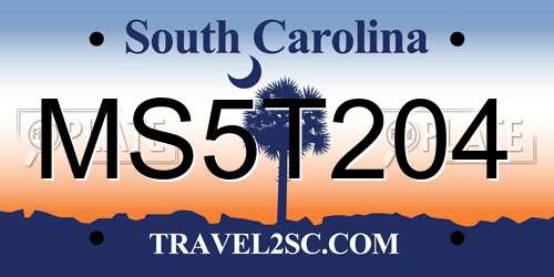 MS5T204 South Carolina License Plate