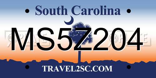 MS5Z204 South Carolina License Plate