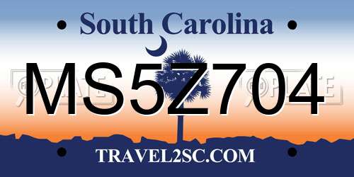 MS5Z704 South Carolina License Plate