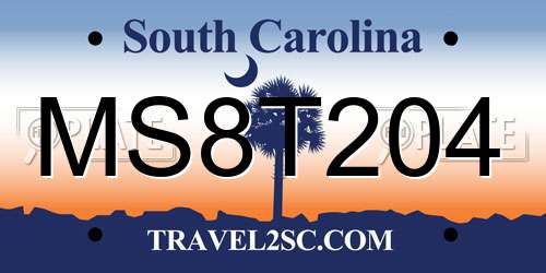 MS8T204 South Carolina License Plate