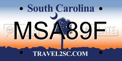 MSA89F South Carolina License Plate
