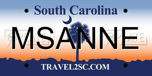MSANNE South Carolina License Plate