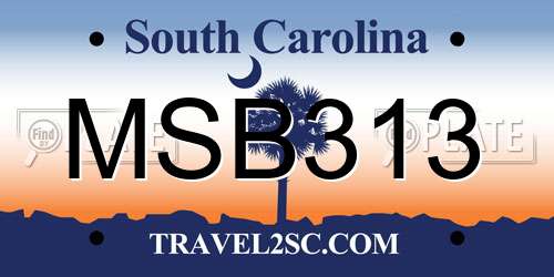 MSB313 South Carolina License Plate
