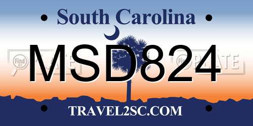 MSD824 South Carolina License Plate