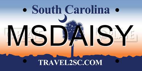 MSDAISY South Carolina License Plate