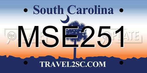 MSE251 South Carolina License Plate