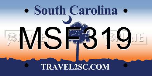 MSF319 South Carolina License Plate