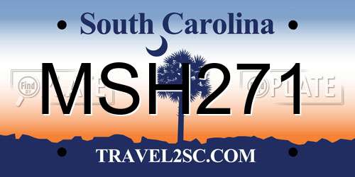 MSH271 South Carolina License Plate