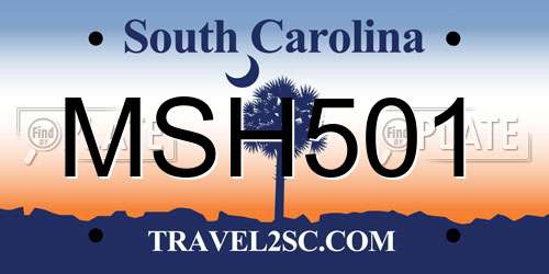 MSH501 South Carolina License Plate