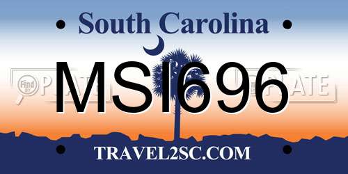 MSI696 South Carolina License Plate