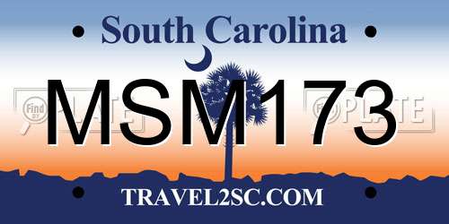 MSM173 South Carolina License Plate