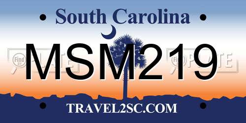 MSM219 South Carolina License Plate
