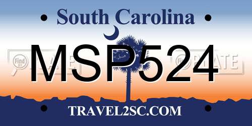 MSP524 South Carolina License Plate
