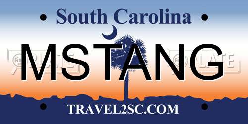 MSTANG South Carolina License Plate