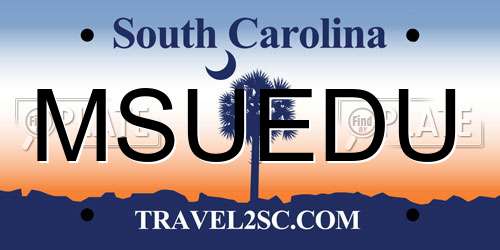 MSUEDU South Carolina License Plate