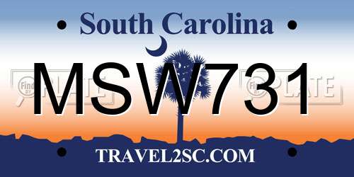 MSW731 South Carolina License Plate