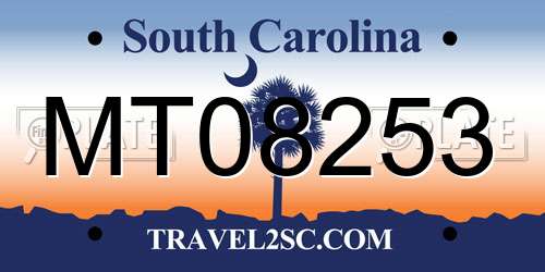 MT08253 South Carolina License Plate