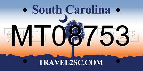 MT08753 South Carolina License Plate