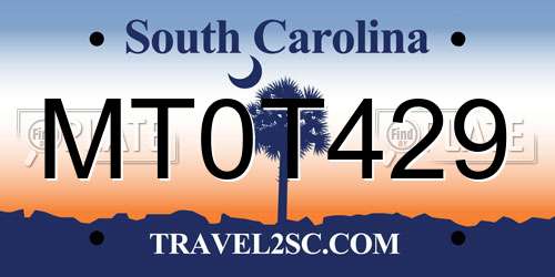 MT0T429 South Carolina License Plate