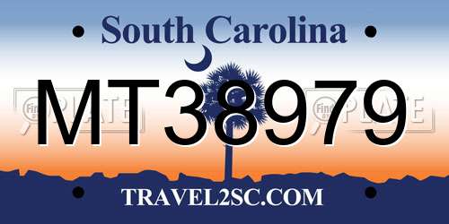 MT38979 South Carolina License Plate
