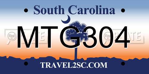MTG304 South Carolina License Plate