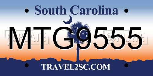 MTG9555 South Carolina License Plate