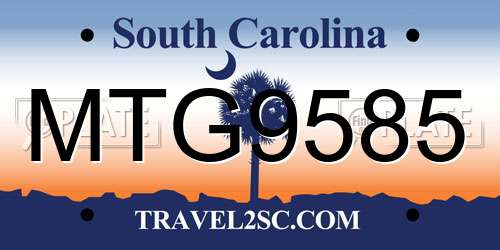 MTG9585 South Carolina License Plate