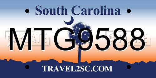 MTG9588 South Carolina License Plate