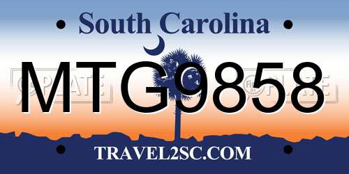 MTG9858 South Carolina License Plate