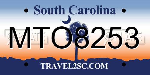 MTO8253 South Carolina License Plate
