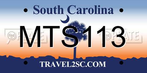 MTS113 South Carolina License Plate